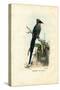 Motmot, 1863-79-Raimundo Petraroja-Stretched Canvas