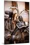 Moto II-Erin Berzel-Mounted Photographic Print