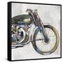 Moto Metal II-Annie Warren-Framed Stretched Canvas