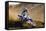 Motocross Racer on Dirt Track-null-Framed Stretched Canvas