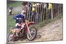 Wood Mount