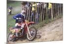 Wood Mount