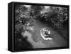 Motor Boat Cruiser-null-Framed Stretched Canvas