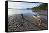 Motor Boat, Okarito Lagoon, West Coast, South Island, New Zealand, Pacific-Matthew Williams-Ellis-Framed Stretched Canvas