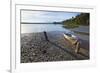 Motor Boat, Okarito Lagoon, West Coast, South Island, New Zealand, Pacific-Matthew Williams-Ellis-Framed Photographic Print