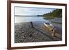 Motor Boat, Okarito Lagoon, West Coast, South Island, New Zealand, Pacific-Matthew Williams-Ellis-Framed Photographic Print