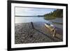 Motor Boat, Okarito Lagoon, West Coast, South Island, New Zealand, Pacific-Matthew Williams-Ellis-Framed Photographic Print