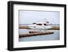 Motor Boat-anpet2000-Framed Photographic Print