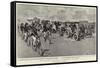 Motor-Cars in Italy, a Procession in Rome-null-Framed Stretched Canvas