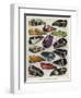 Motor Cycle Tanks-null-Framed Photographic Print