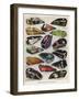 Motor Cycle Tanks-null-Framed Photographic Print