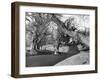 Motor Racing at Oulton Park, 1953-Staff-Framed Photographic Print