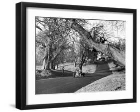 Motor Racing at Oulton Park, 1953-Staff-Framed Photographic Print