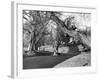 Motor Racing at Oulton Park, 1953-Staff-Framed Photographic Print