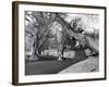 Motor Racing at Oulton Park, 1953-Staff-Framed Photographic Print