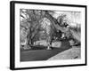 Motor Racing at Oulton Park, 1953-Staff-Framed Photographic Print