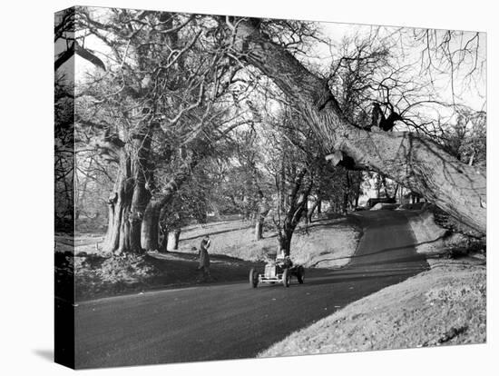 Motor Racing at Oulton Park, 1953-Staff-Stretched Canvas