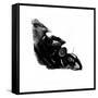 Motorbike-Fran Sutton-Framed Stretched Canvas