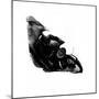 Motorbike-Fran Sutton-Mounted Premium Giclee Print