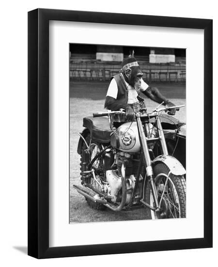 Premium Photographic Print, , large