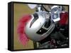 Motorcycle Helmet with Pink Mohawk-null-Framed Stretched Canvas