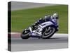 Motorcycle in Motion, Ama Superbike Race, Mid Ohio Raceway, Ohio, USA-Adam Jones-Stretched Canvas