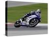 Motorcycle in Motion, Ama Superbike Race, Mid Ohio Raceway, Ohio, USA-Adam Jones-Stretched Canvas