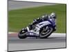 Motorcycle in Motion, Ama Superbike Race, Mid Ohio Raceway, Ohio, USA-Adam Jones-Mounted Photographic Print