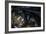 Motorcycle IV-Brian Moore-Framed Photographic Print