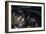 Motorcycle IV-Brian Moore-Framed Photographic Print