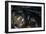 Motorcycle IV-Brian Moore-Framed Photographic Print