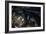 Motorcycle IV-Brian Moore-Framed Photographic Print
