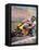 Motorcycle Racing-Graham Coton-Framed Stretched Canvas