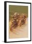 Motorcycle Racing-null-Framed Art Print