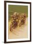 Motorcycle Racing-null-Framed Art Print