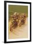 Motorcycle Racing-null-Framed Art Print