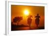 Motorcycles, Funbikes, Husquarna Nuda 900R and Ktm 990 Smc, Back Light, Sundown, Country Road-Fact-Framed Photographic Print