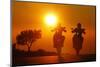 Motorcycles, Funbikes, Husquarna Nuda 900R and Ktm 990 Smc, Back Light, Sundown, Country Road-Fact-Mounted Photographic Print