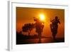 Motorcycles, Funbikes, Husquarna Nuda 900R and Ktm 990 Smc, Back Light, Sundown-Fact-Framed Photographic Print