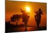 Motorcycles, Funbikes, Husquarna Nuda 900R and Ktm 990 Smc, Back Light, Sundown-Fact-Mounted Photographic Print