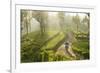 Motorcyclist, Tea Estate & morning mist, Hapatule, Southern Highlands, Sri Lanka-Peter Adams-Framed Photographic Print