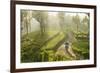 Motorcyclist, Tea Estate & morning mist, Hapatule, Southern Highlands, Sri Lanka-Peter Adams-Framed Photographic Print