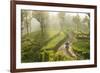 Motorcyclist, Tea Estate & morning mist, Hapatule, Southern Highlands, Sri Lanka-Peter Adams-Framed Photographic Print