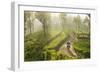 Motorcyclist, Tea Estate & morning mist, Hapatule, Southern Highlands, Sri Lanka-Peter Adams-Framed Photographic Print