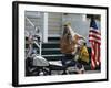 Motorcyclist with Bird on Head, Duval Street, Key West, Florida, USA-R H Productions-Framed Photographic Print