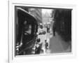 Gramercy White
