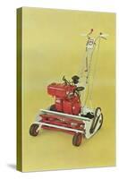 Motorized Lawnmower-null-Stretched Canvas