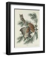 Mottled Owl, 1830-John James Audubon-Framed Giclee Print