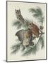 Mottled Owl, 1830-John James Audubon-Mounted Giclee Print
