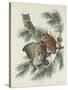Mottled Owl, 1830-John James Audubon-Stretched Canvas